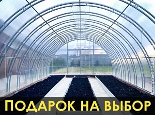 Теплицы из поликарбоната от "Дом Теплиц" с доставкой недорого в Нижний ...