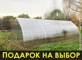 Теплицы из поликарбоната от "Дом Теплиц" с доставкой недорого в Нижний ...