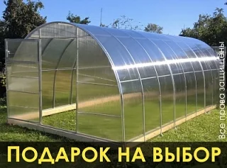 Теплицы из поликарбоната от "Дом Теплиц" с доставкой недорого в Нижний ...