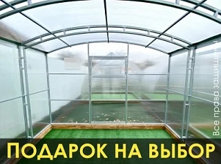 Теплицы из поликарбоната от "Дом Теплиц" с доставкой недорого в Нижний ...
